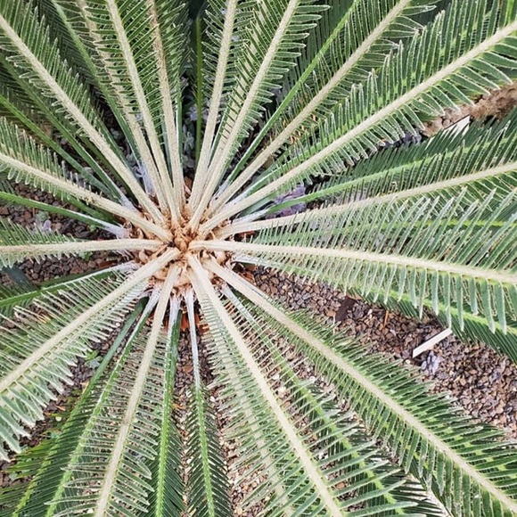 Meet your Posher, Karen - Picture 1 of 1